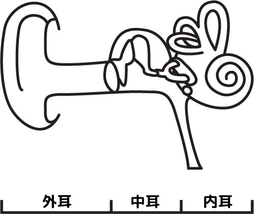 前庭機能の構造と働きについて。高齢者の転倒はめまいが原因かも?
