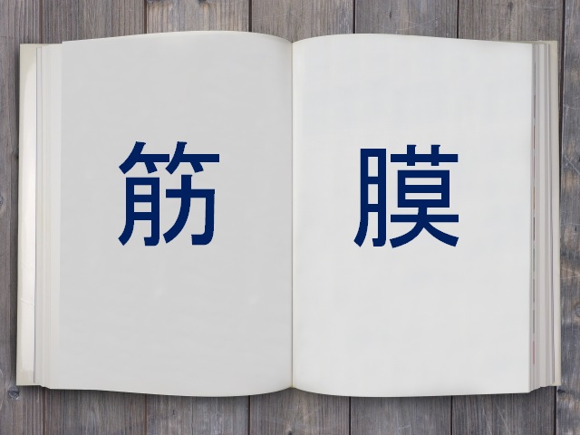 筋膜を理解できるおすすめ書籍、竹井仁氏の「自分でできる！筋膜リリースパーフェクトガイド」をご紹介