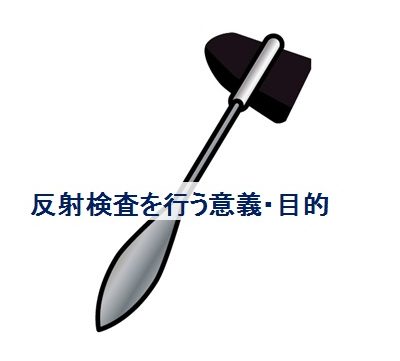 リハビリで行う反射検査(深部腱反射・病的反射)の意義・目的を詳しく解説