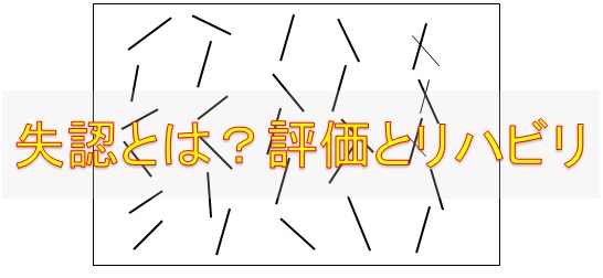 失認とは?病巣や評価(検査)、リハビリ方法を解説