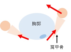 寝返り 起き上がりの動作分析 ６つの評価ポイントとリハビリ方法を解説 かずぼーのリハビリ大全