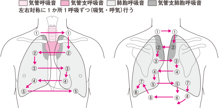 異常な呼吸音に関連する症状